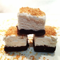 Toasted Coconut Marshmallows Dipped in Dark Chocolate