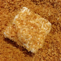 Toasted Coconut Marshmallows
